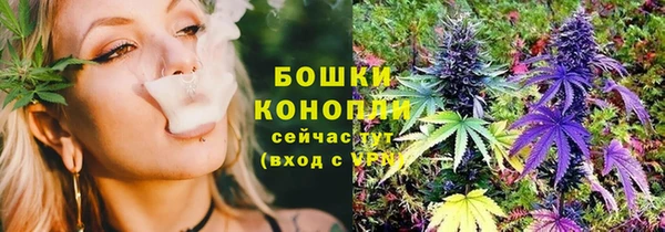 ПСИЛОЦИБИНОВЫЕ ГРИБЫ Баксан